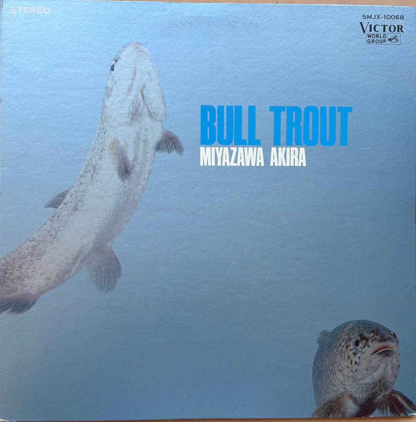 MIYAZAWA AKIRA: "Bull Trout"