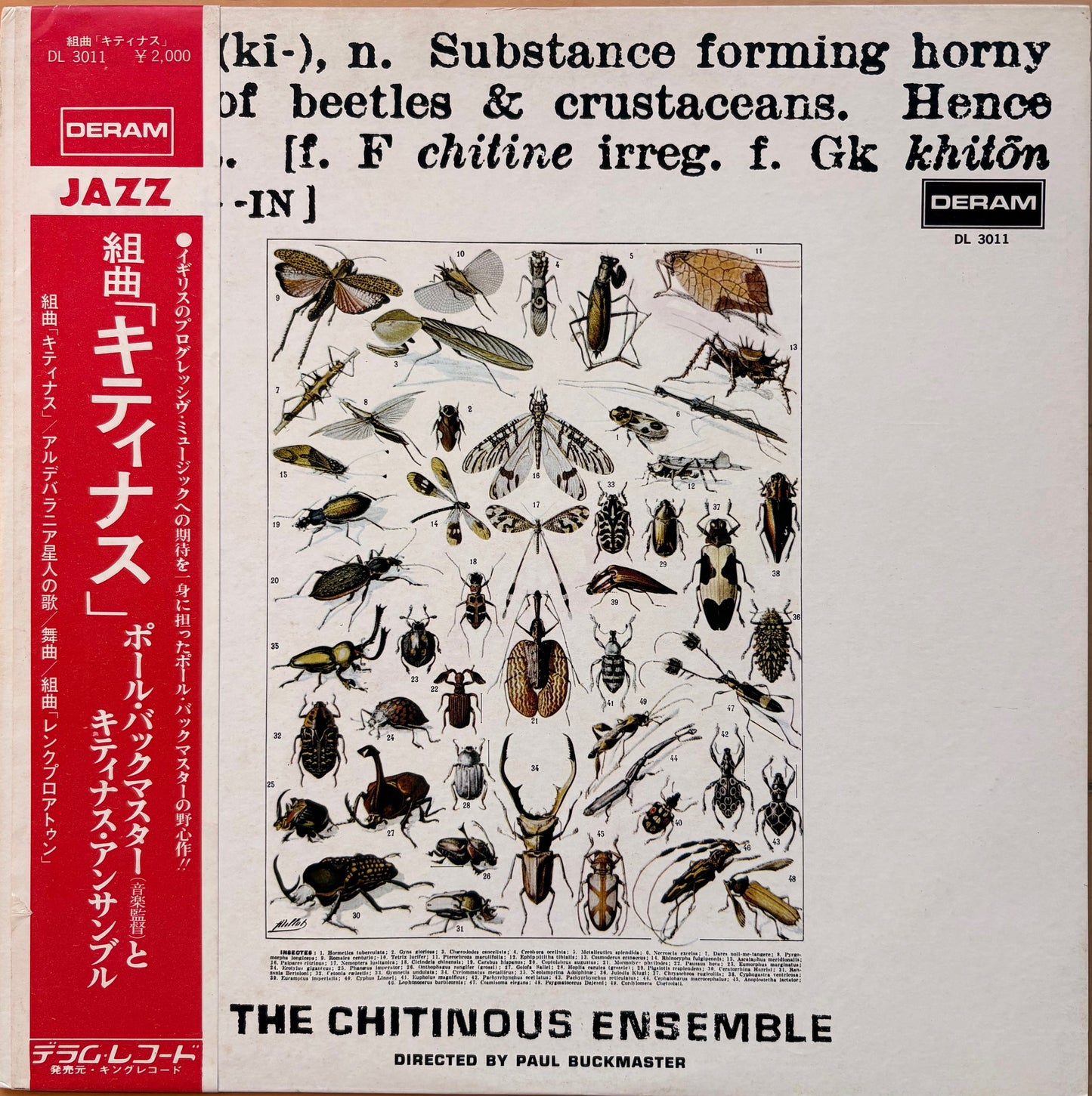 THE CHITINOUS ENSEMBLE: "CHITINOUS" PROMO