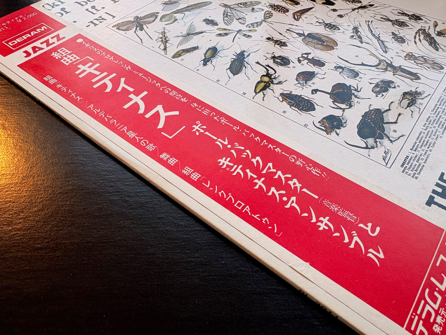 THE CHITINOUS ENSEMBLE: "CHITINOUS" PROMO