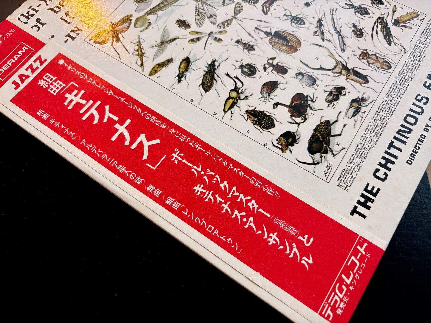 THE CHITINOUS ENSEMBLE: "CHITINOUS" PROMO