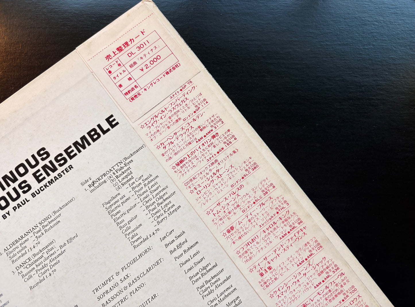 THE CHITINOUS ENSEMBLE: "CHITINOUS" PROMO