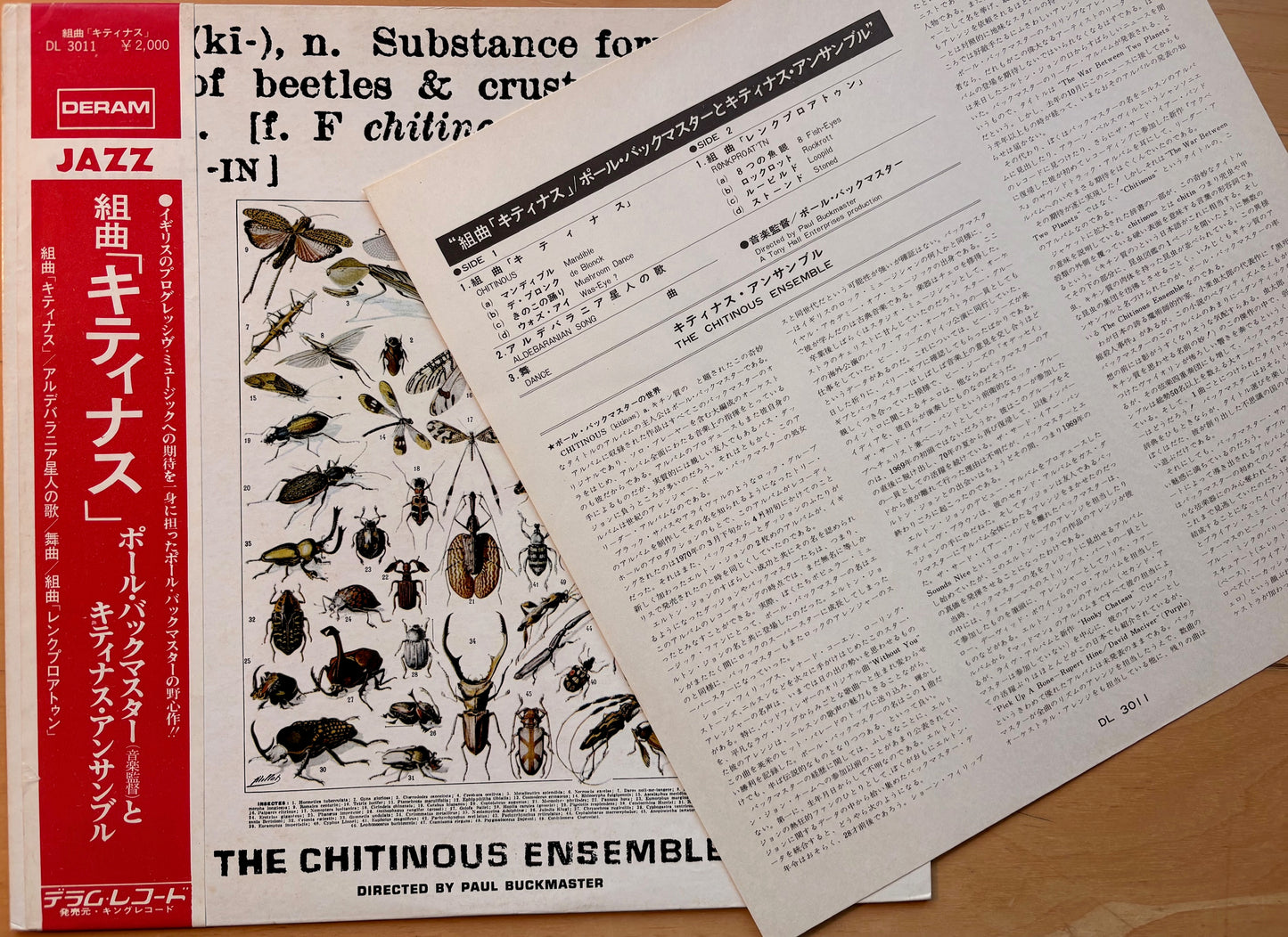 THE CHITINOUS ENSEMBLE: "CHITINOUS" PROMO